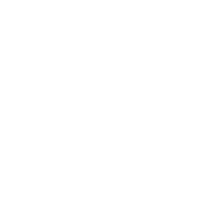 AI diffusion model animation